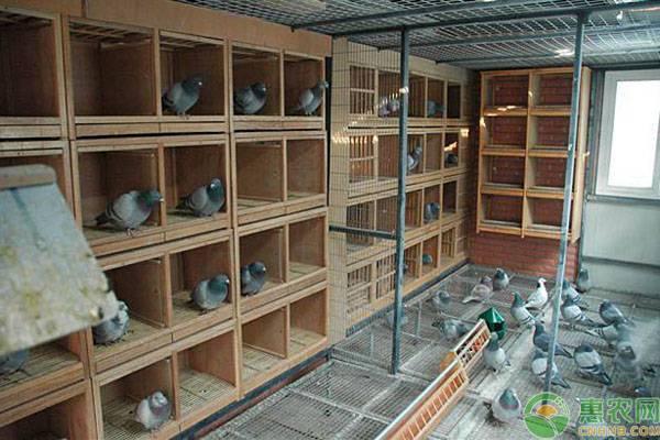 30个经典的农村养殖业致富项目，农村有哪些特色养殖项目