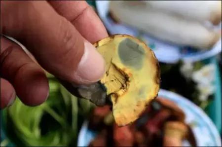 云南最好吃的野生菌在哪，中国最浪漫城市非她莫属