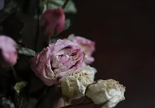 怎么制作干花的过程，快死的鲜花变文艺干花