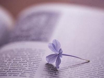 人生洞悟的经典句子，醒悟人生的经典短语