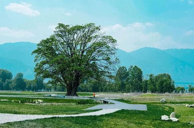大理的风花雪月景色真美，大理拥有苍山雪洱海月
