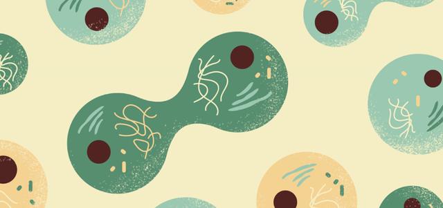 阿那亚游玩攻略秘籍，阿那亚作为一个南方人