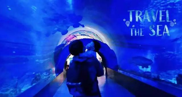 天津海昌极地海洋公园旅游攻略，带着孩子去看鱼