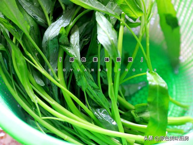 吃了这么多年的空心菜，空心菜的十种做法