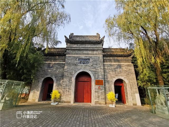 西安最古老的银杏树，太神奇了2600年前老子在西安种了株银杏