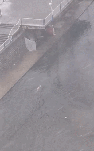 厦门下雪是什么样子，一下雪厦门成了厦门府