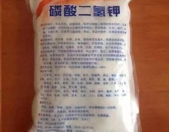 龟背竹的水养方法和注意事项，养龟背竹用对土