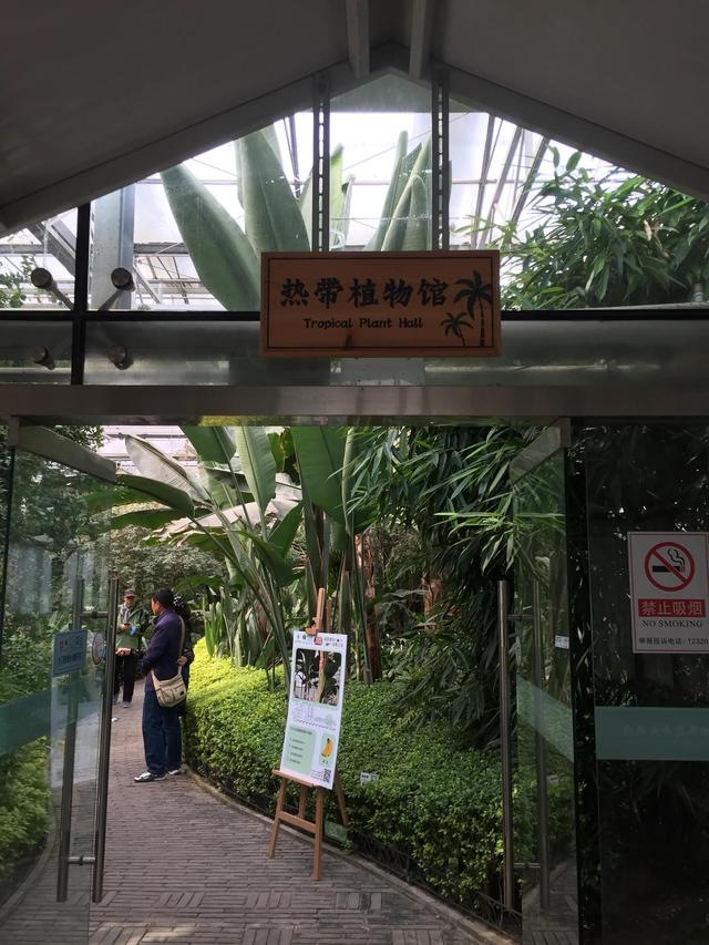 北京世界花卉大观园菊花展，世界花卉大观园