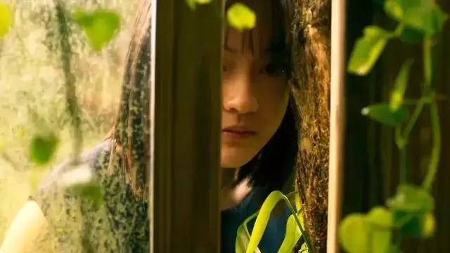 血观音深度解析，深度解析血观音（打败大佛普拉斯）