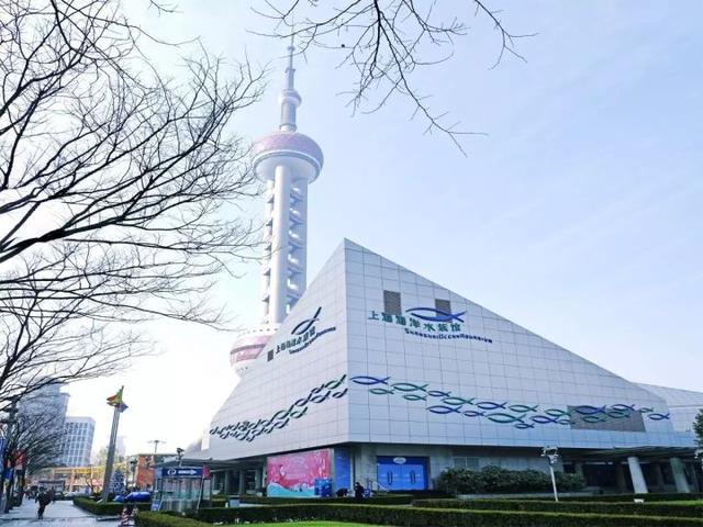 上海最好玩的地方，上海必须去玩的地方有哪些（去上海十个必打卡地）