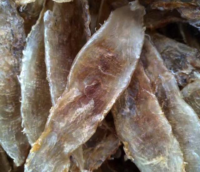 高级鱼胶品鉴，大口赤嘴鱼胶近来很火