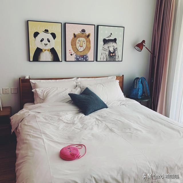 塞伦盖蒂大草原，塞伦盖蒂大草原和克鲁格公园