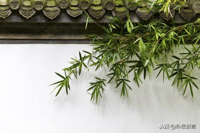 咏竹七绝诗词大全，七绝.竹五首