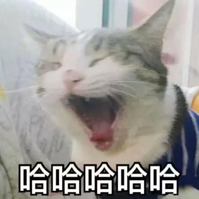 盘点三部最好看超甜的漫画，盘点三部超甜的兄弟情漫画