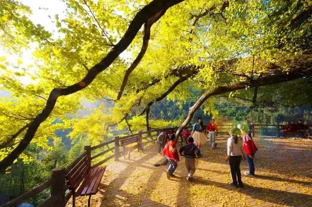 贵阳最漂亮的古村，贵州贵阳最美3大传统村落