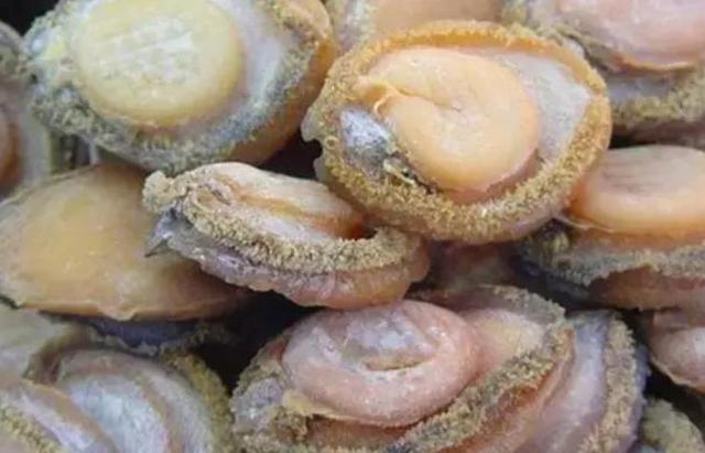 20种鲍鱼种类，世界鲍鱼品种大全