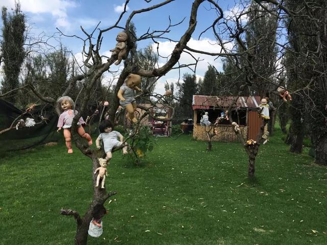 墨西哥娃娃岛的基本资料，墨西哥有个娃娃岛，你敢来吗