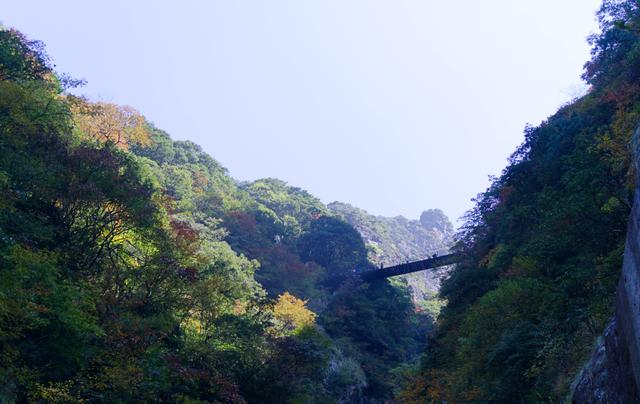 武功山旅游攻略，武功山旅游攻略一日游（江西武功山\u0026仙凤三宝亲子游记）