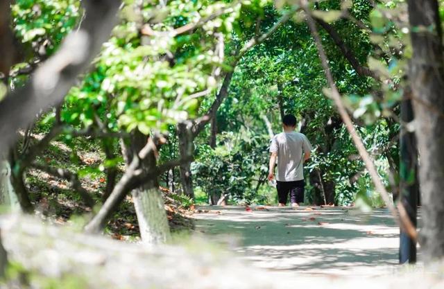 深圳旅游攻略景点推荐，深圳十条旅游路线（不完整的旅游景点和美食选择）