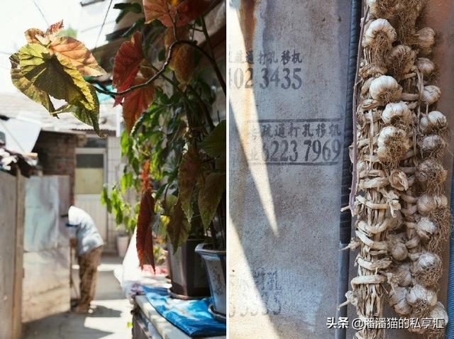 胡同平房改造记，二手老平房改造