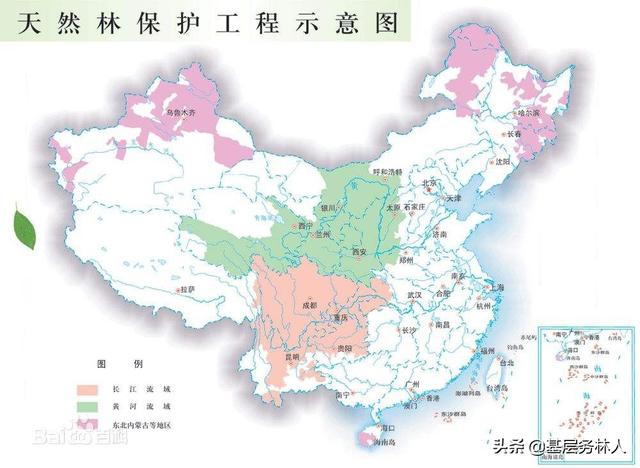 植树造林的意义，关于植树造林的意义及相关知识（植树节的意义）