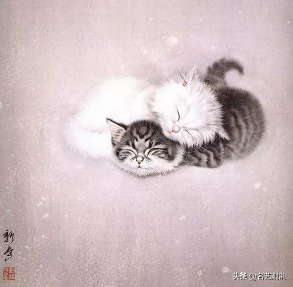 100种小猫怎么画，100种画真猫的画法（教你在纸上养个主子）