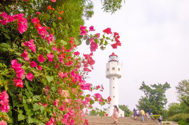 广西北海怎么样，广西北海旅游怎么样（究竟是怎样的一座城市）