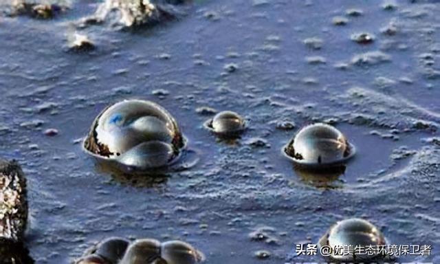 石油还能用多少年，世界现有石油还能用多少年