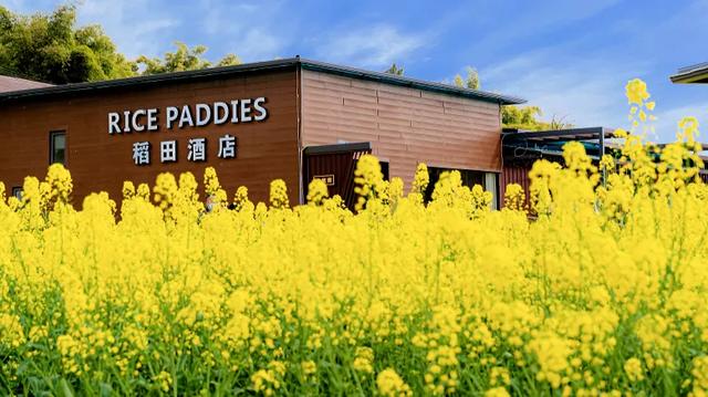 广安旅游攻略必去景点有哪些，四川广安6大必玩绝美景点