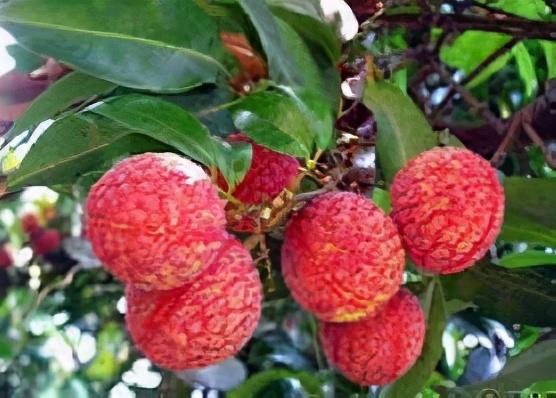 广州旅游景点大全排行榜，广州景点大全166个景点