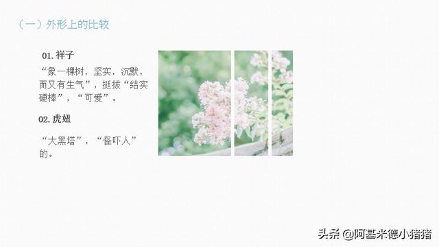 骆驼祥子和虎妞，分析骆驼祥子里面的虎妞（还原虎妞的死亡真相）