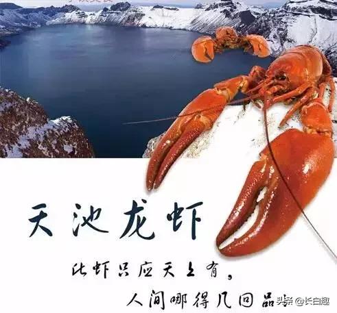 万达长白山滑雪场，长白山滑雪场在哪个地方（长白山万达度假区成国内冰雪赛事集结地）