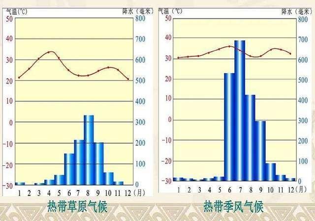 气候类型柱状图，南半球地中海年度气候柱状图