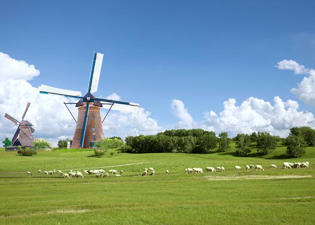 第一天出生的婴儿拉墨绿色的便便，婴儿出生后可能排出5种颜色的便便