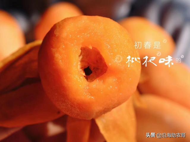 时令水果东山枇杷，果树上成熟的味道