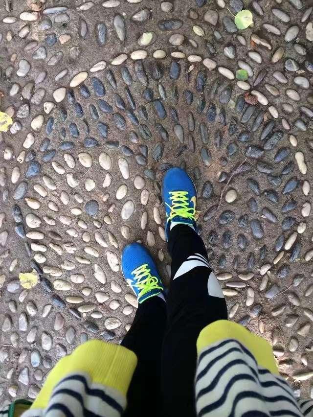 人间仙境满山红叶，原来是峨眉山的树叶红了……
