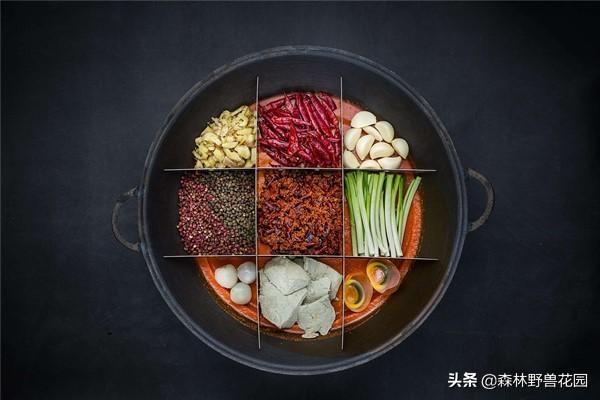 市井火锅文化，生存于火锅和串串香的夹缝之间