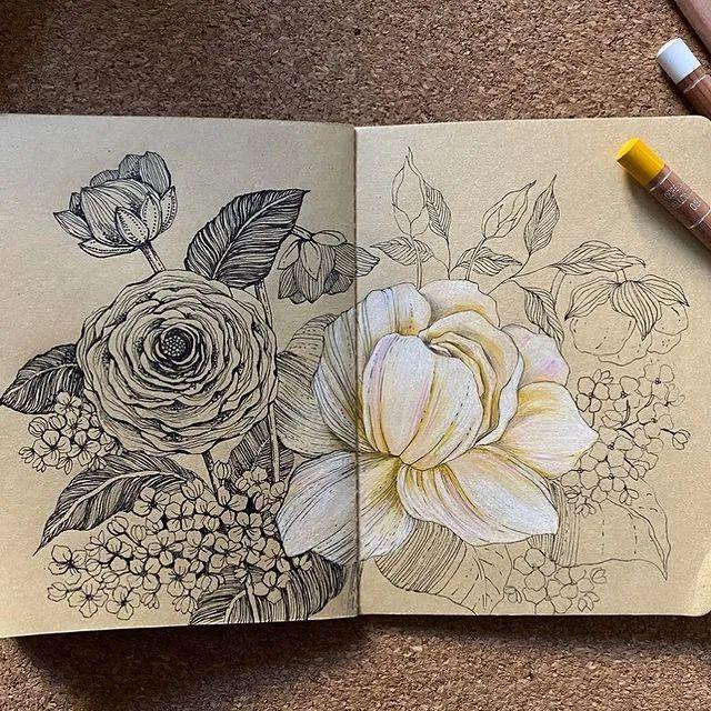 妙笔生花水墨画教程，教科书级别的植物线描