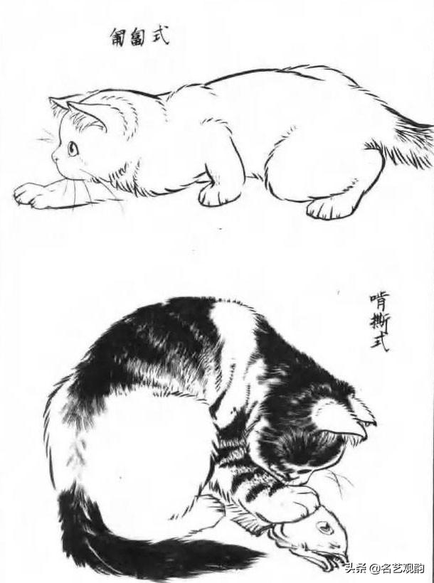 100种小猫怎么画，100种画真猫的画法（教你在纸上养个主子）