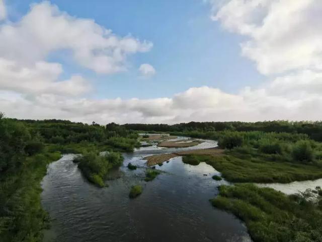 黑格尔世界哲学语录100句，黑格尔十大经典名言