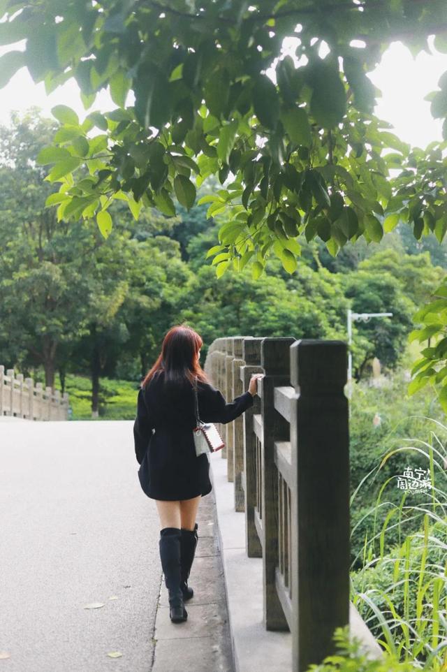 南宁附近花海景点推荐，南宁这几处花海，美了