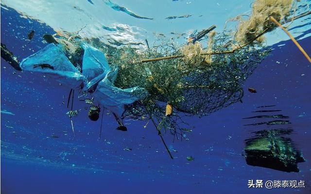 人类探索海底世界有多深，人类究竟发现了什么