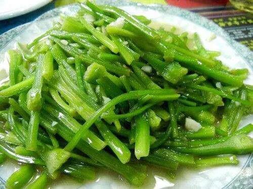 泸沽湖的海藻花几月份去最好，夏日云南美景可不止一点点