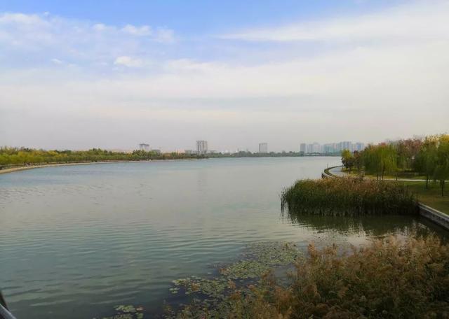 郑州周边免费景点，郑州最近免费旅游景点大全（不出郑州的8个赏花遛娃地）