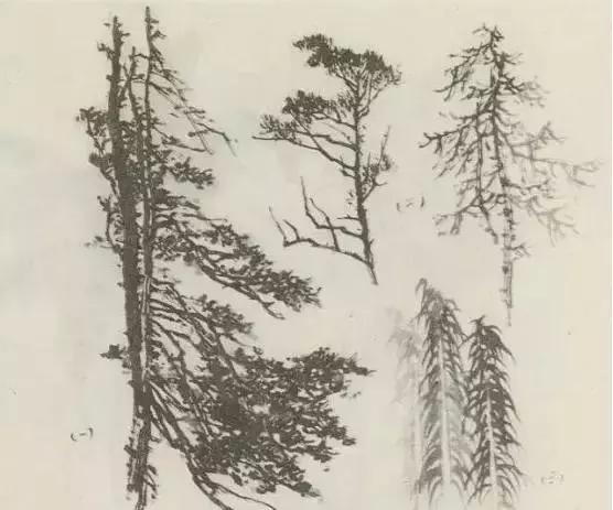 树怎么画简单又好看，如何画树简单又漂亮（水彩唯美风景画，手把手教你画）