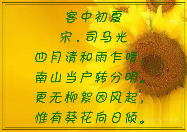 傲阳的诗句大全，倾阳丹心独自在