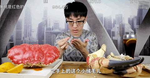 （15个值得收藏的吃播美食up主大推荐