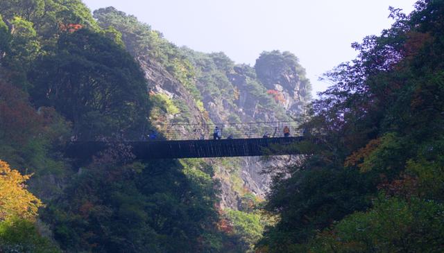 武功山旅游攻略，武功山旅游攻略一日游（江西武功山\u0026仙凤三宝亲子游记）