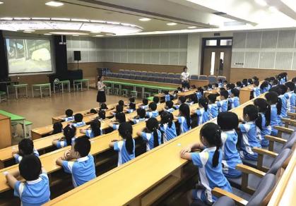 一年级入学年龄，教育部关于小学入学的年龄规定（一年级新生入学年龄有新调整）