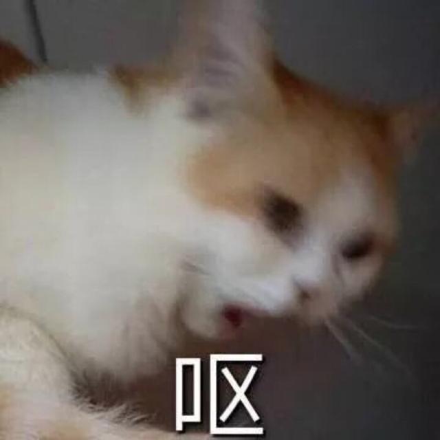 尼坤的组合成员资料，be天花板终成回忆